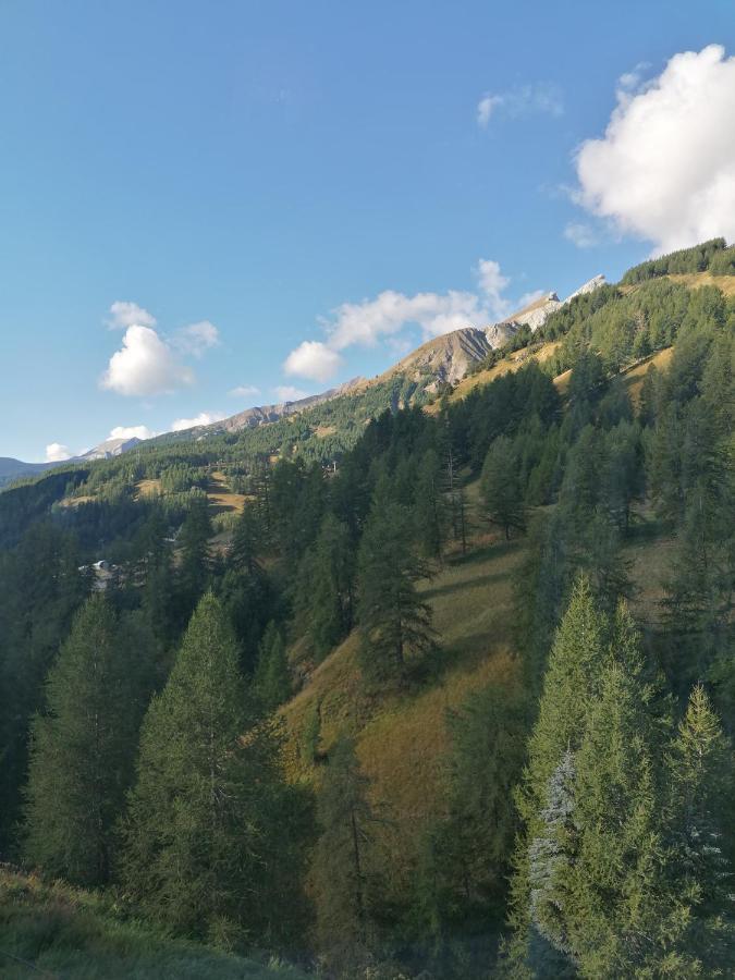 La Foux D'Allos Centre Station, Vue Panoramique Quartier Les Etoiles 50M Des Remontees Zewnętrze zdjęcie